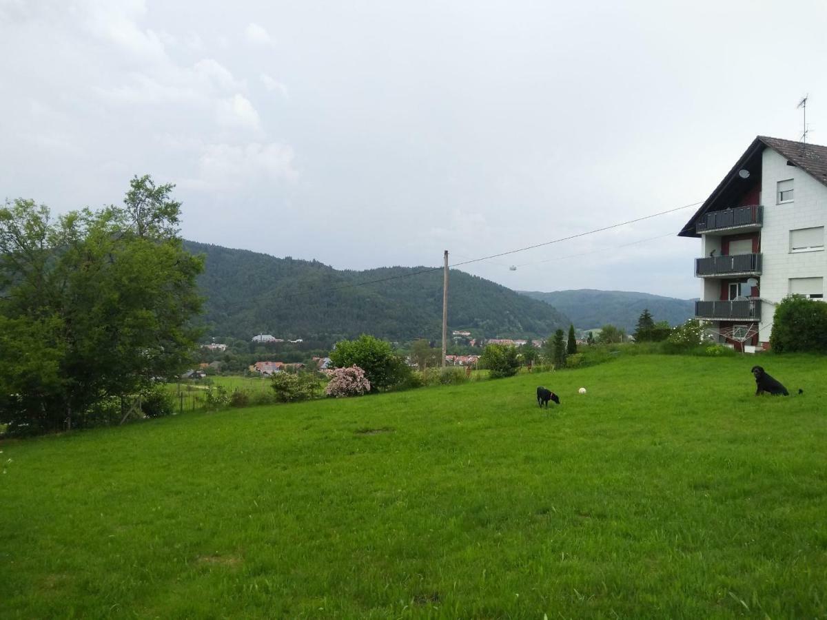 Ferienwohnung Am Eichbuehl Waldkirch Buitenkant foto